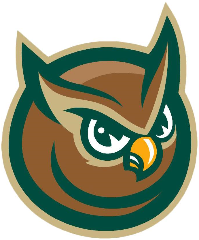 Forest City Owls 2008-Pres Alternate Logo iron on transfers for clothing